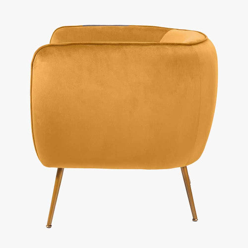 Lucca Armchair Gold Velvet and Metal